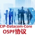 4-1：HCIP-Datacom-Core - OSPF路由计算 - LSA概述