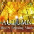 ⚜4K超清 60帧/秒⚜ 秋天的大自然和鸟叫声?绝美的秋季景色疗愈心灵〃无人机放松电影与平静的音乐