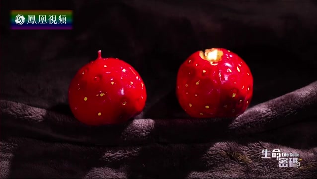 老师的乳房+选妃Φ4281бO2O2_Φ.Qlje-腾讯