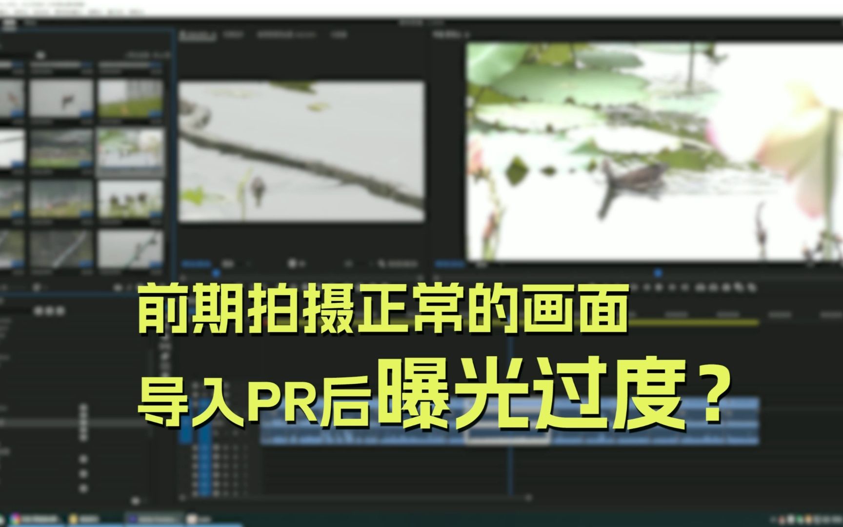 藤本树：“出院了？我装的！”一口气看完藤本树新作《再见绘梨》-为爱冲锋战神-默认收藏夹-哔哩哔哩视频