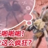 八条腿的蜘蛛啪啪啪是这样的体位？！直接射手里涂上去！