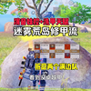 消音妹控加洗甲天赋！直接在蓝海湾折磨两个满编队_游戏热门视频
