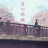 【MV/OST】《君の膵臓をたべたい》主题歌（自制）——每年的春天我都会在北海道的樱花树下等待着你的出现。