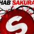 【开头已跪】日语电音Sakura - R3hab 1080p
