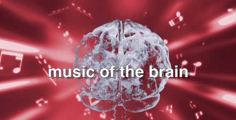 【纪录片】大脑的音乐-Music of the brain