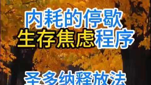 内耗的停歇 生存焦虑程序 圣多纳释放法