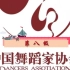 中国舞蹈家协会 第八级（完整版）