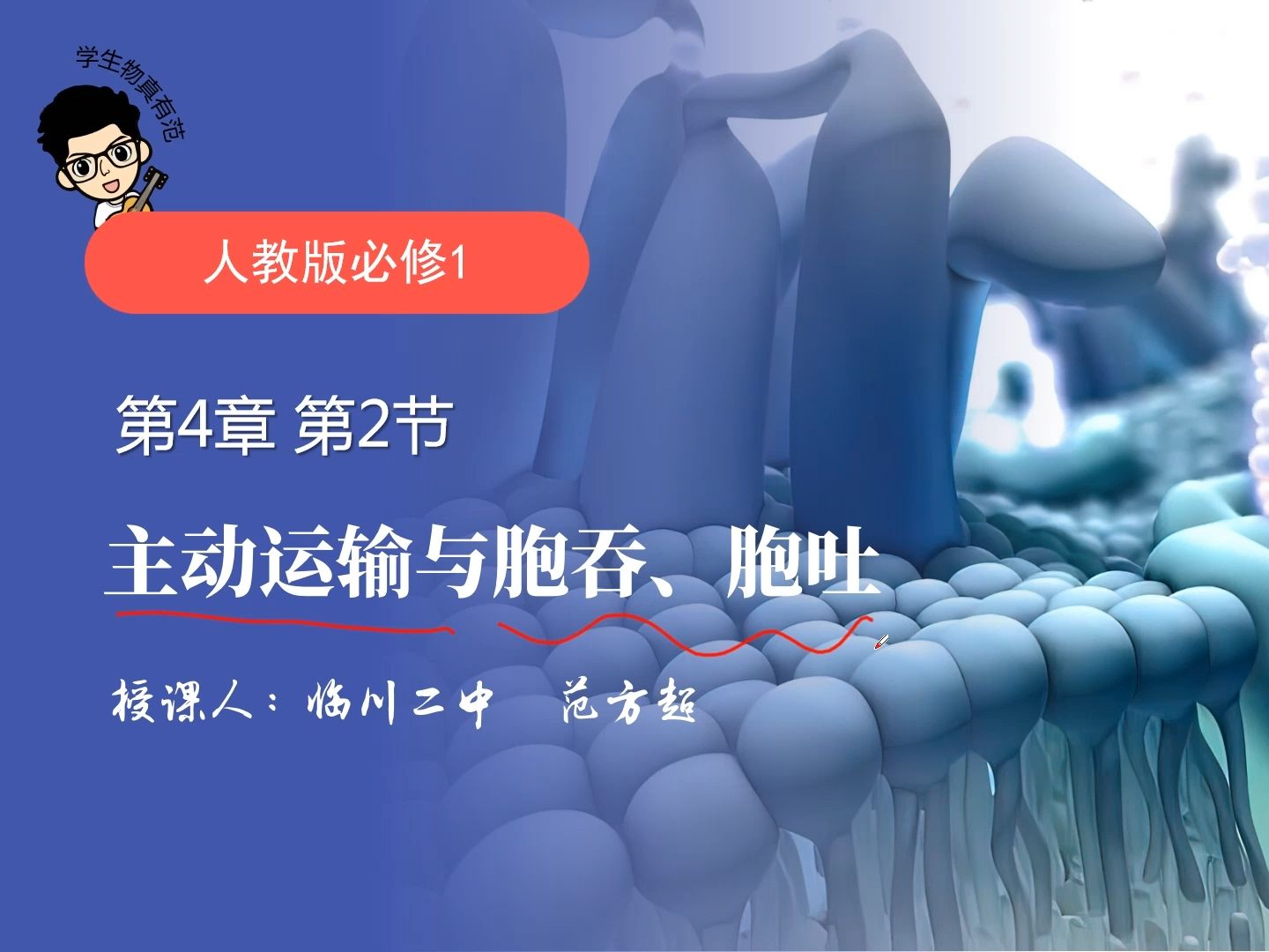 4.2主动运输与胞吞、胞吐 第1节课