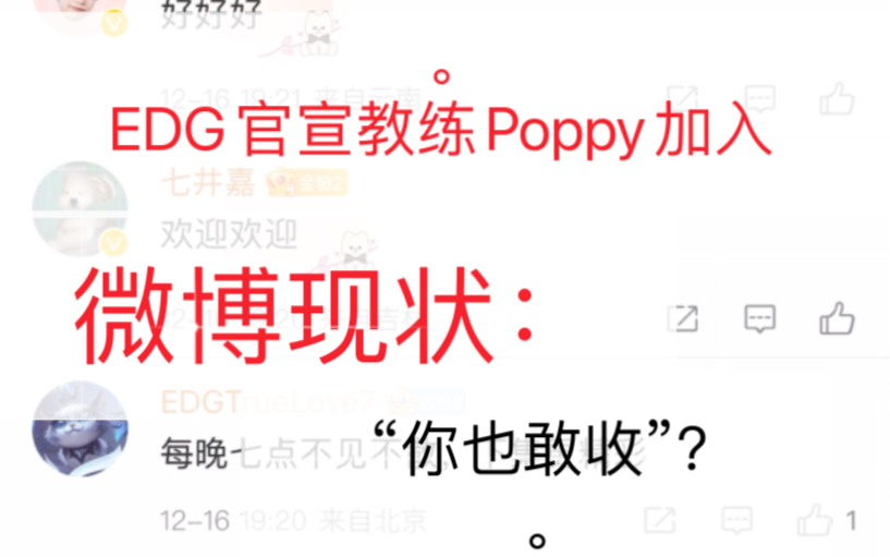 EDG官宣教练Poppy加入《微博评论现状:“你也敢收?》哔哩哔哩bilibili