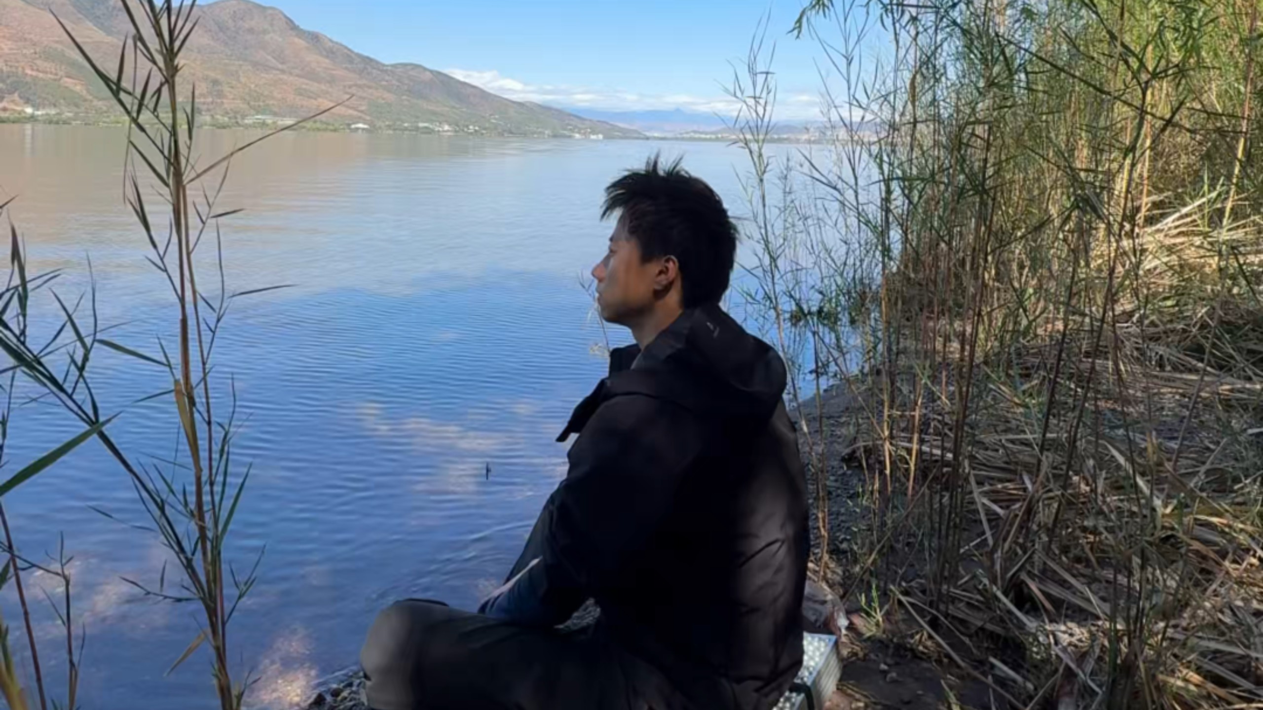 犟驴溜达 溜达 溜达到海边