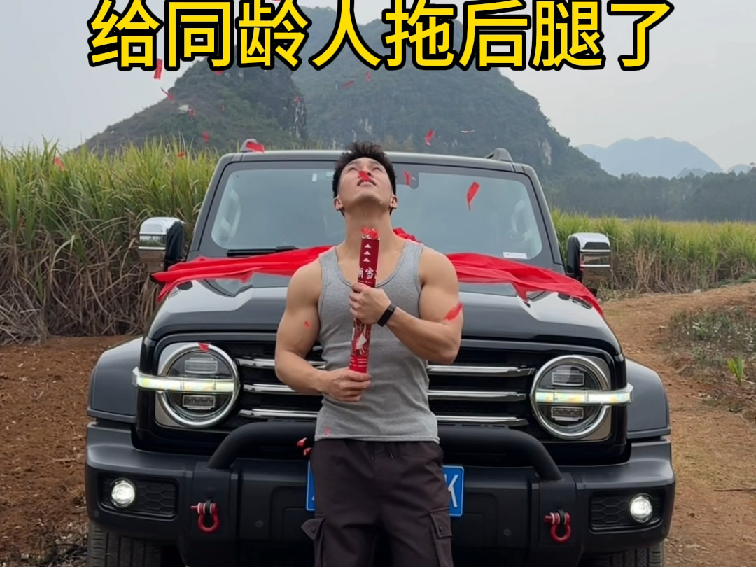 买不起进口车，买个长城大家轻一点喷