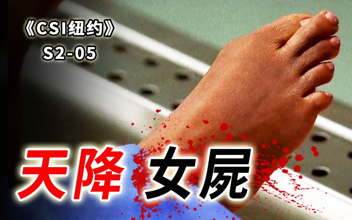 天降女尸慌人心，最毒不过妇人心，无辜妹子中奖当晚惨死《CSI纽约》S2-05