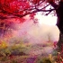 蓝天、白云、红树、绿叶，一汪碧波。让这美好的秋日美景治愈你我吧！