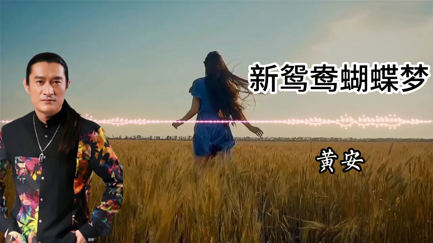 黄安—新鸳鸯蝴蝶梦（无损音质）