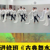 《古典舞水袖》精彩片段（一