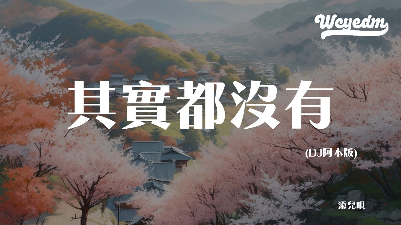 添儿呗 - 其实都没有 (DJ阿本版)「我也曾经憧憬过 后来没结果」【動態歌詞/pīn yīn gē cí】#添儿呗 #其实都没有 #動態歌詞