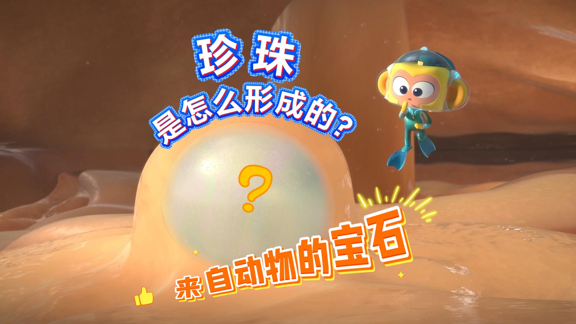 来自动物的宝石：珍珠是怎么形成的？【斑马百科动画】