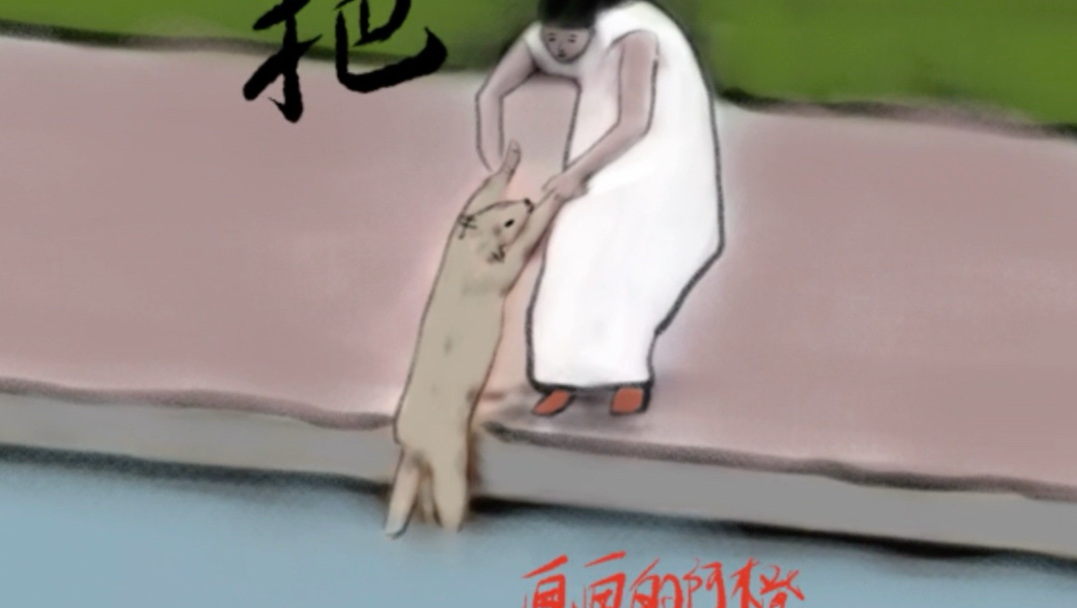 狗狗：遇见一个人美心善的小姐姐