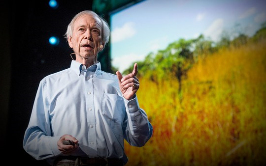 TED演讲 | 如何防治荒漠化和扭转气候变化
