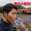 海岛农场大蒜丰收，一场暴雨救回了所有农作物，深海沙白成精真美