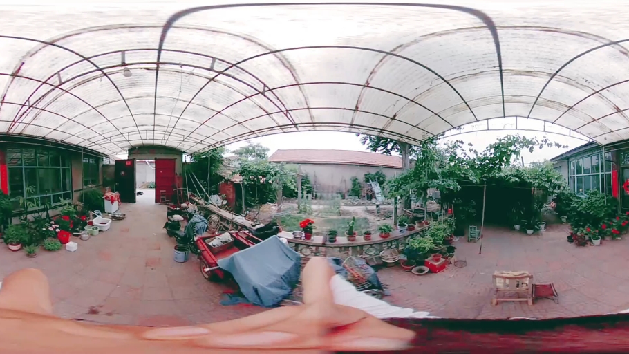 【台长vlog】美丽庭院