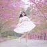 【小风】与樱花起舞的少女❀离春天最近的街道❀