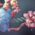 CRISPR- Gene editing and beyond- Nature Video