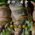 在水族的烹饪里，鱼和韭菜才是最佳搭配，“鱼包韭菜”水族的传统美食。