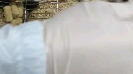 小鼠常规腹腔注射给药