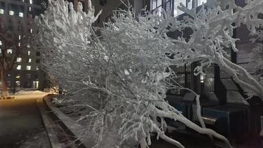 【<em class="keyword">圣马家沟</em>轮船<em class="keyword">技术</em>学院】Up主探索中，欢迎收看求三连！