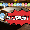 挑战粉丝派茄系列第二期