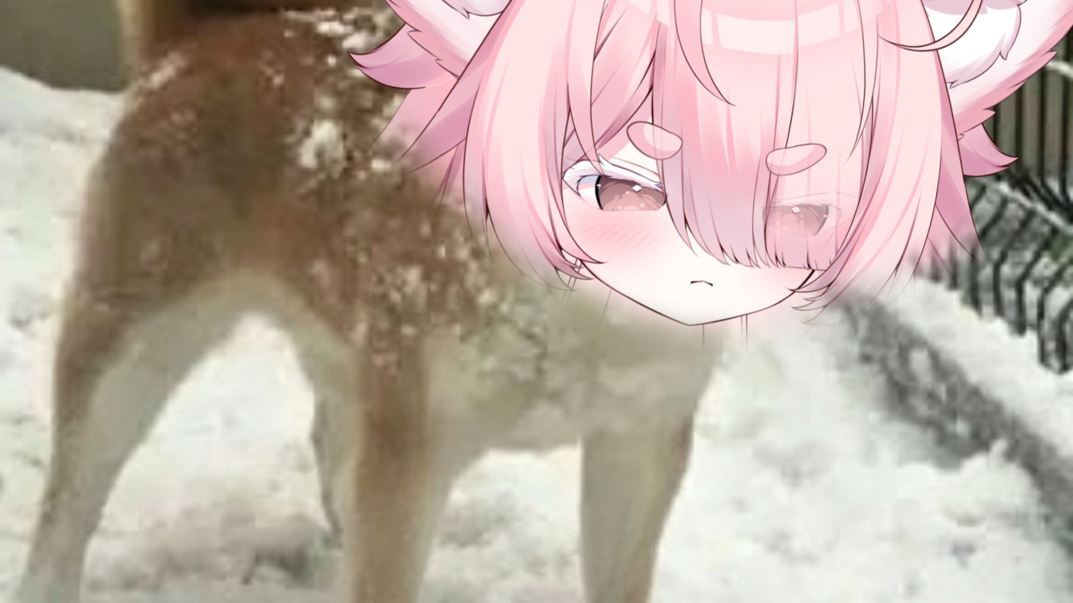 秒了