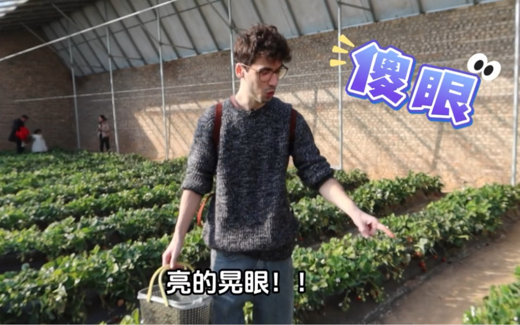 意大利小哥在中国疯狂采草莓！惊喜连连，看他表情就知道多喜欢！