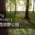 [VLOG][DJI Pocket 2][上海]青西郊野公园