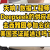 天呐！数据工程师，Deepseek 的供应商去西雅图参加会议，美国签证能通过吗