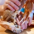 【日本美食】螃蟹要吃的享受，雪蟹的迷人味道