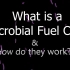 微生物电池 - Microbial Fuel Cell Explained