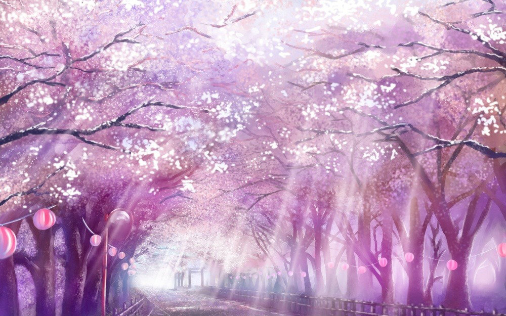 樱花祭 高野健一【自制】视频在线观看