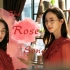 【张钧甯唐探剧情向混剪】【腹黑向】玫瑰 | The Rose Song