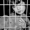 Prophecy  縷縷夢兎 黒宮れい