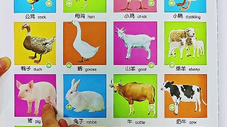 有了这本早教有声点读书，宝宝在家启蒙早教就变得超简单的 #在家早教 #亲子早教 #亲子教育 #会说话的早教书点读书 #早教书