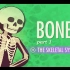 【10分钟速成课：解剖与生理】第19集 - 骨 part 1 骨骼系统