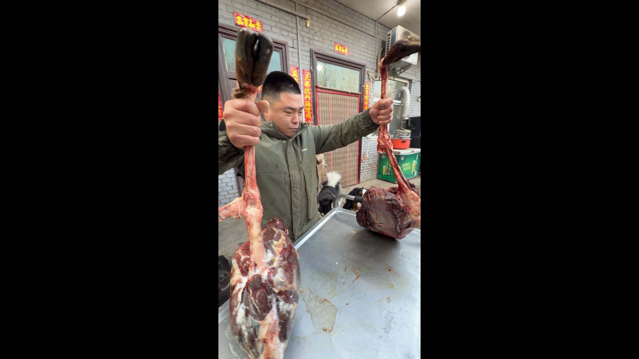 我宣布今天是，自豫西狗场建厂以来，规格最高的食材