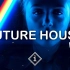 Future House Mix 2021 Vol.2