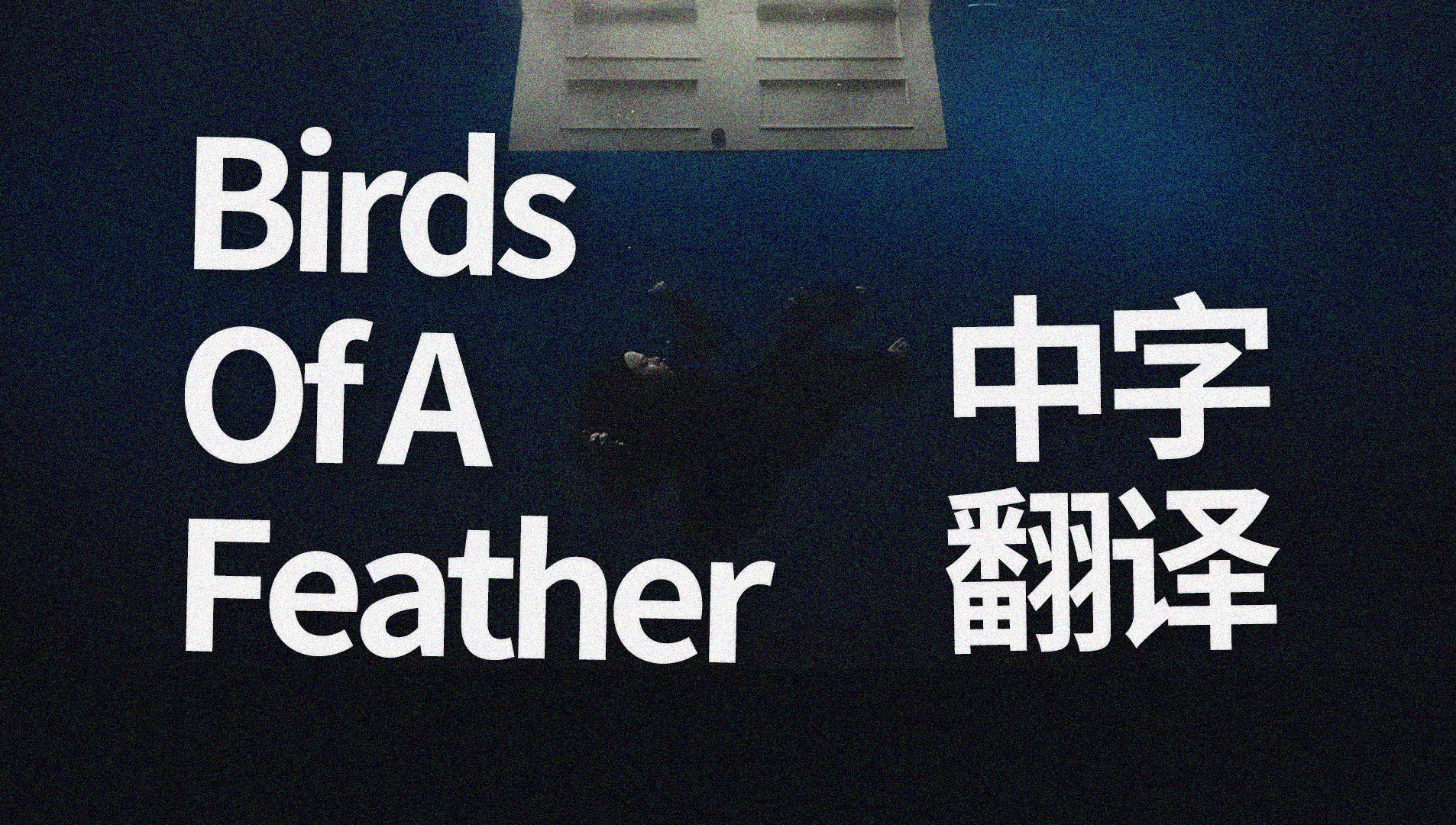 [中字] 我爱你 直到死亡将我们分开 Birds Of A Feather - Billie Eilish