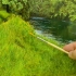Oil Painting | 写实主义风景画～草地与树木的表现