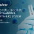Bio-Techne 泛素化和类泛素化系统