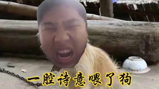 《一 腔 诗 意 喂 了 狗》