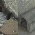 柳州一小区老鼠成灾，垃圾桶内满是老鼠，疯狂打洞致地面被挖塌陷