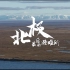 纪录片《北极最后的避难所》【中文版】 1080P超清